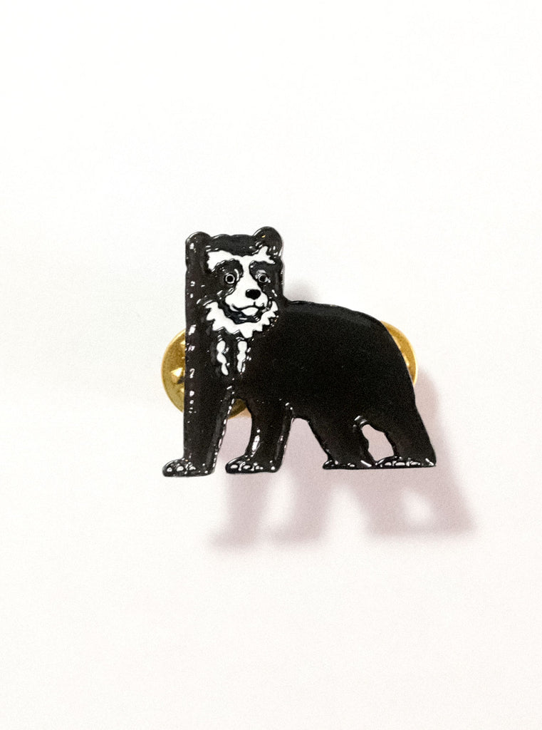 PIN OSO DE ANTEOJOS