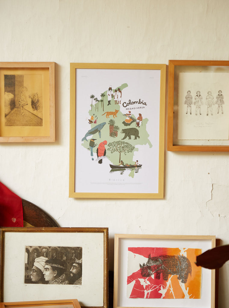 AFICHE MAPA COLOMBIA MEGADIVERSA